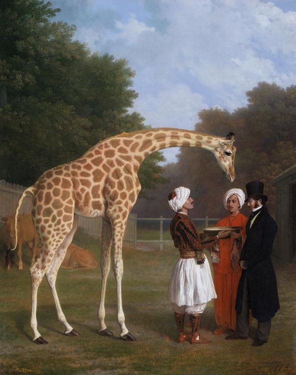 Jacques-Laurent Agasse The Nuian Giraffe (mk25) Germany oil painting art